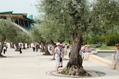 SG_Rotondo_30042013_23