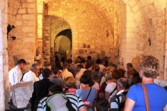 MS_Angelo_01052013_27