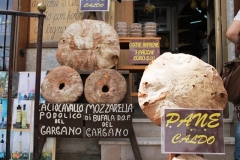 MS_Angelo_01052013_29