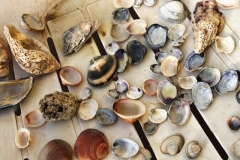 IgeaMarina_02-03052013_28