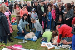 img_4260_1024x683