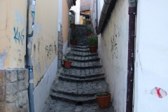dscf5560