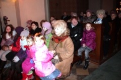 jaselka2013_22