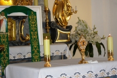 SONY DSC