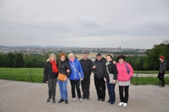 c20._wiede_-_paac_schonbrunn