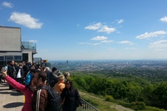1._kahlenberg_-_panorama